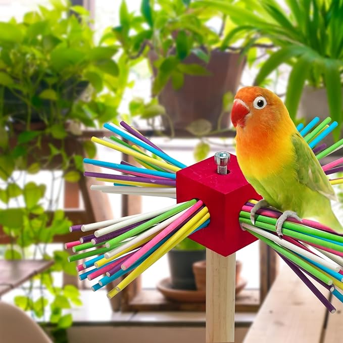 Bird Perch Toy for Cage,Spinning Windmill Bird Perch Toy,360° Rotating Chewable Stand with Grinding Sticks,Interactive Cage/Tabletop Training Toy for Parakeets,Cockatiels,Lovebirds (Mixcolor, Square)