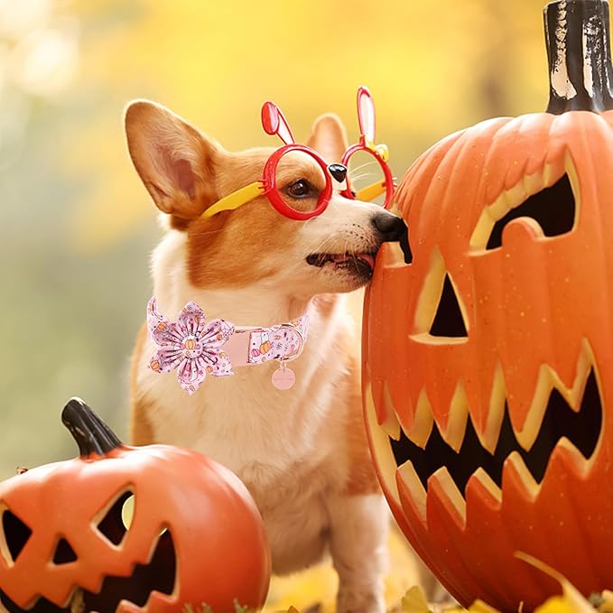 Halloween Dog Collar With Flower, Pink Puppy Collar With Adjustable Metal Buckle, Fancy Bowtie Gift for Girl Boy Dog, XS