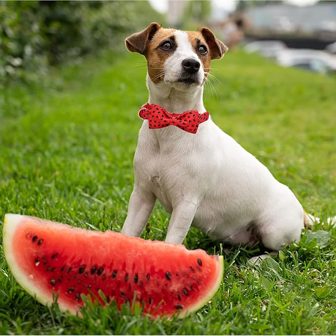 Lionheart glory Dog Collar, Watermelon Dog Collar with Bow, Summer Dog Bowtie Collar Cute Pet Collar Gift for X-Small Puppy and Cat