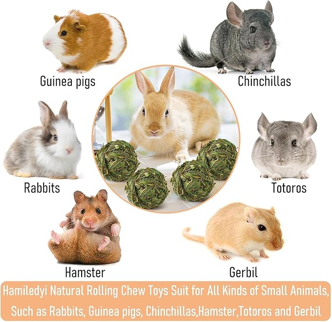 Hamiledyi 10 Pcs Rabbit Chew Ball Timothy Grass Ball Small Animal Activity Play Chew Toys Teeth Grinding for Bunny Rabbits Hamster Guinea Pigs Gerbils Chinchillas