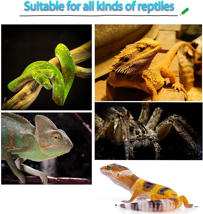 Lizard Coco Den with Ladder,Leopard Gecko Coconut Husk Hut Hideout Home Reptile Hammock Climbing Hanging Plants Decor Habitat Tank Accessories for Bearded Dragon Snake Chameleon