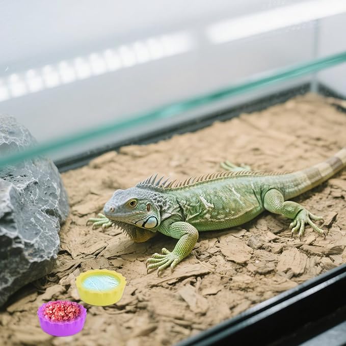 LOGJAM 21 Pack Crested Gecko Food and Water Dish, Silicone Reptile Food Bowl, Gecko Tank Accessories for Hermit Crab, Tarantula, Isopods and Lizard, 7 Colors