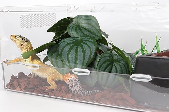 Reptile Plants for Terrarium, Ball Python Tank Decor Accessories fit Bearded Dragon Crested Leopard Gecko Lizard Chameleon Snake Frog Tortoise Hermit Crab - Fake Calathea Orbifolia