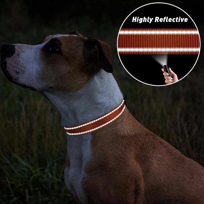 TagME Reflective Nylon Dog Collars, Adjustable Classic Pet Collar with Quick Release Buckle for Medium Dogs, Orange, 1.0" Width