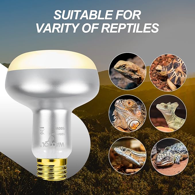 WACOOL 2 Pack 100W Reptile Heat Lamp Bulbs - Intense Basking Spot Lights for Bearded Dragons, Lizards, Turtles, Tortoises, Geckos - UVA Daylight Heat Lamp for Terrariums, Vivariums & Enclosures
