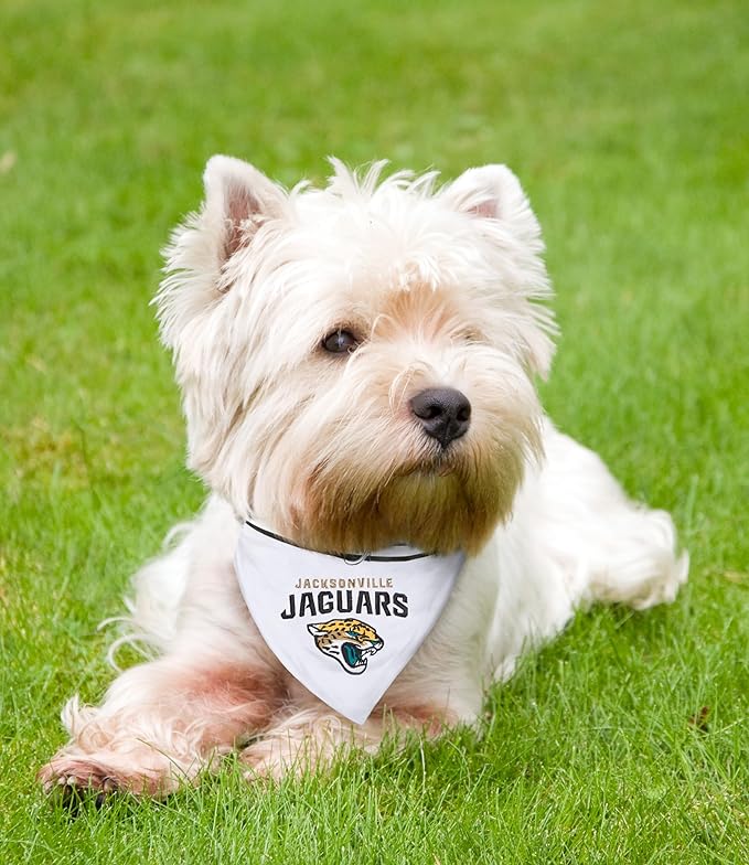 Pets First NFL Pets Collar Bandana