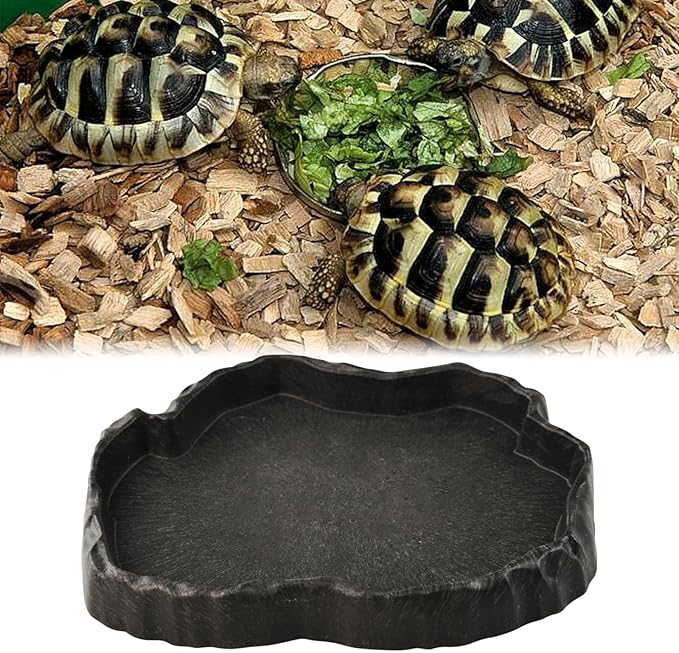 Reptile Water Dish, Reptile Feeding Dish Corner Bowl Breadworm Feeding Food Bowl, Terrarium Decor Bowls for Bearded Dragon Lizard Frog Leopard Gecko Tortoise Hermit Crab Chameleon (Middle)