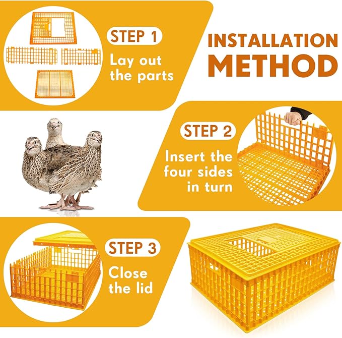 Sintuff 4 Pcs Poultry Carrier Crate Plastic Chicken Transport Cage Bird Carriers Chickens Carrier Travel Crate Basket Box for Poultry Chicken Bird Duck Goose, 29.5 x 21.7 x 11.6 Inch