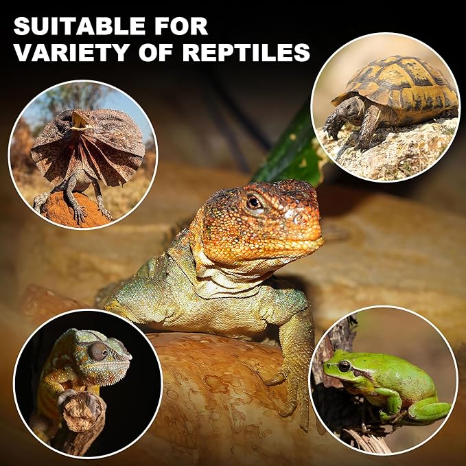 MIXJOY 250W Ceramic Heat Emitters - 2Pack Reptile Heat Lamp Bulbs, No Light Emitting, Ideal for Gecko, Lizard, Bearded Dragon, Turtle, Snake & Chicken