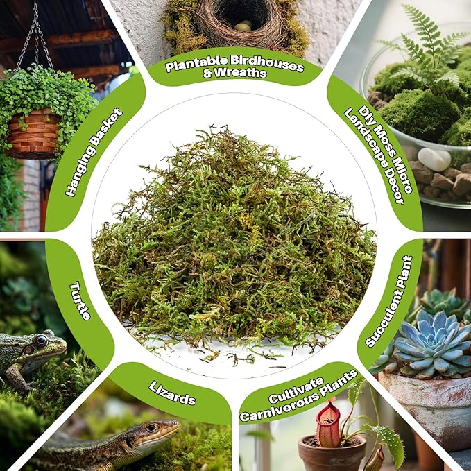 Sphagnum Moss for Reptiles - 5.5 OZ Reptile Peat Moss Terrarium Bedding Reptiles Lizard Substrate for Reptile Tank, Snake, Leopard Gecko, Ball Python, Crested Gecko, Turtle, Frog, Hamster