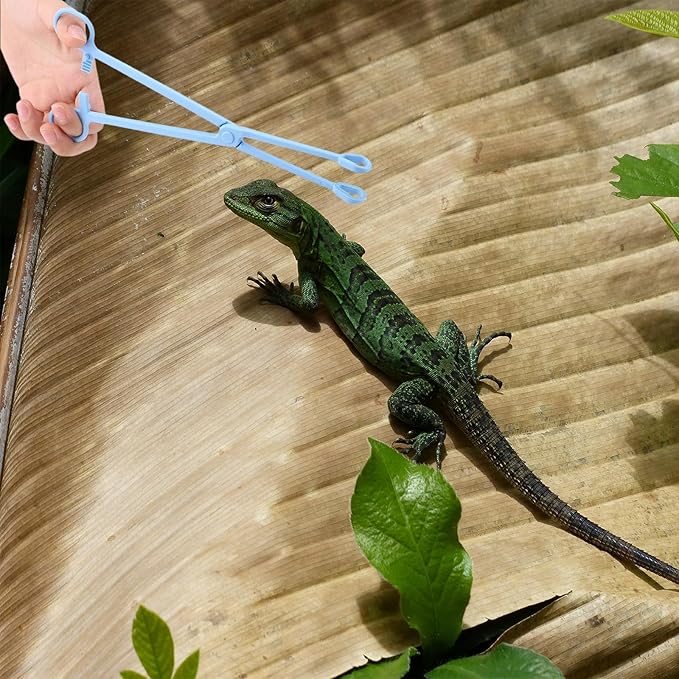 RUIAN 9.64in Reptile Feeding Clip, Plastic Tongs, Safe, Comfortable, for Tortoise, Lizard & More,Clip Reptile Plastic Tweezers Tongs