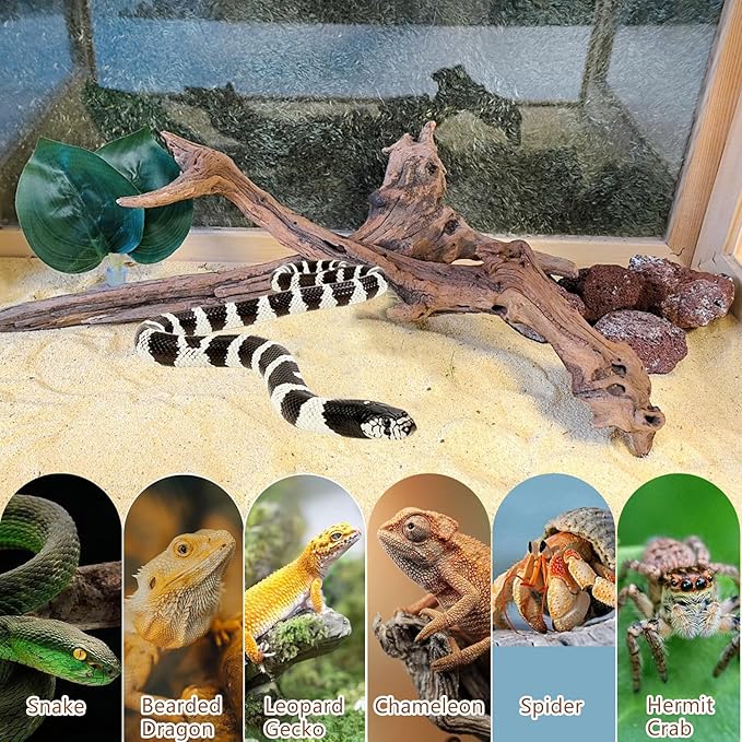 BNOSDM 2PCS Snake Climbing Branches,Reptile Natural Coral Driftwood Branches Decor,Lizard Habitat Decoration Accessories, Terrarium Tree Trunk Ornament for Bearded Dragon Gecko Frog Chameleon Spider