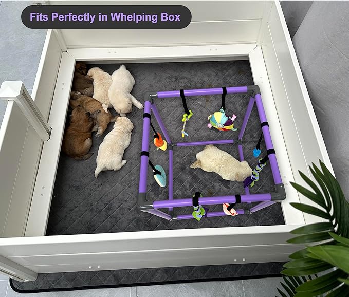 Puppy Play Gym for Small Dogs with 8 Hanging Toys, Jungle Playground with Interactive Funny Enrichment Toys to Keep Them Busy