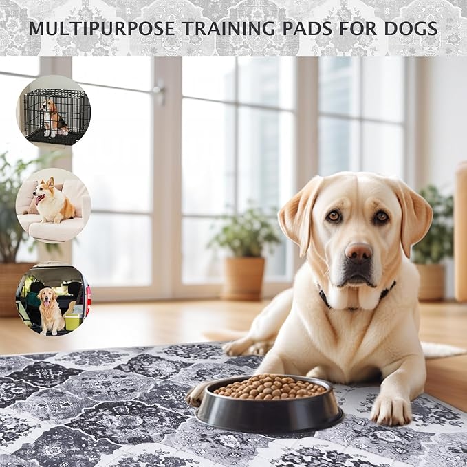 IEUUMLER Washable Pee Pads for Dogs, 2 Pack Reusable Pee Pads for Dogs Non-Slip Grip, Super Absorbent Waterproof Puppy Pads for Potty Training, Playpen, Crate, Whelping Box EU011 Black Grey, 36x48