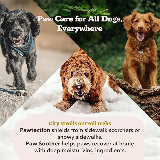 Natural Dog Company PawTection Balm for Dogs, Dog Paw Protector, Moisturizing Dog Paw Balm for Dry, Cracked Pad, Protects Paw from Extreme Weather, Paw Lotion for Allergies & Itching (0.15 oz Stick)