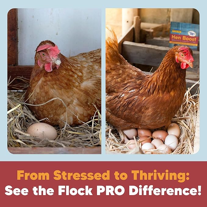 Flock PRO Hen Boost - Digestive Supplement for Hens | Chicken Vitamins and Supplements | Probiotics, Digestive Enzymes, Electrolytes for Adult Poultry-8 OZ