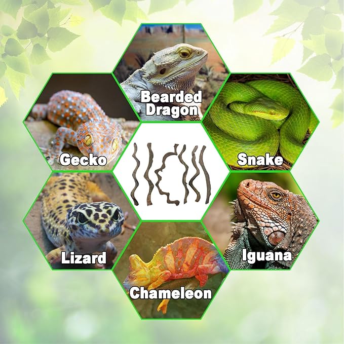 BNOSDM Reptile Forest Climbing Branch Decor Crested Gecko Climb Wood Natural Branches Tree for Snake Frog Chameleon Spider Bearded Dragon Terrarium Habitat Tank Accessories,6PCS
