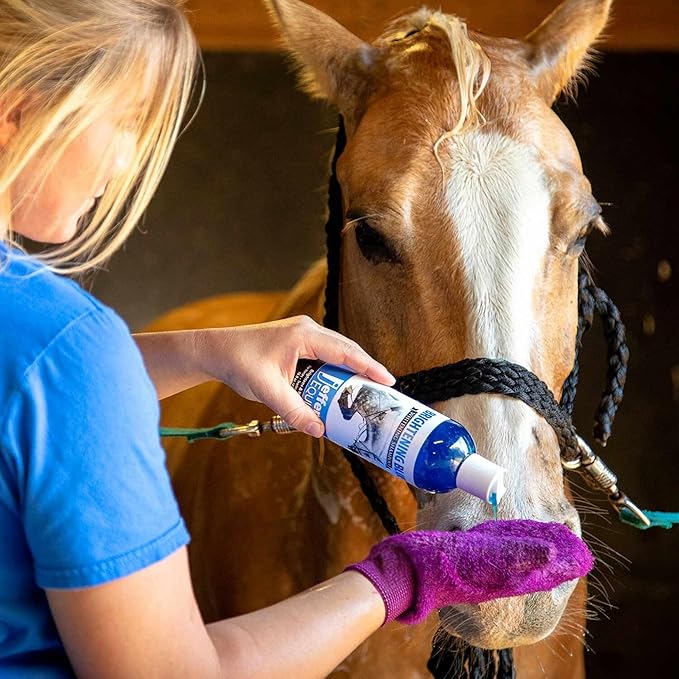 Jeffers Equine Brightening Blue Shampoo for Horses, 16 oz - Stain Remover, Coconut Oil, Aloe, Gentle Grooming, Detergent - Free, Enhances Coat Shine, Mane & Tail Care