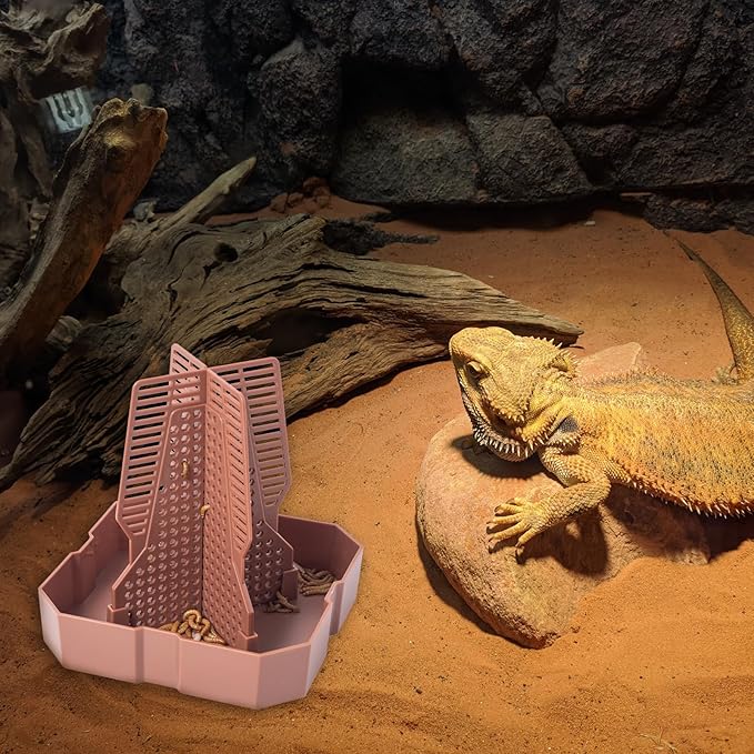 Reptile Feeder Bowls with Climbing Ladder for Chameleon,Bearded Dragon,Guardians Hunting Bugs Keep Training Terrarium Bowls for Lizards,Frogs,Geckos Other Small Pets,Brown (Large)