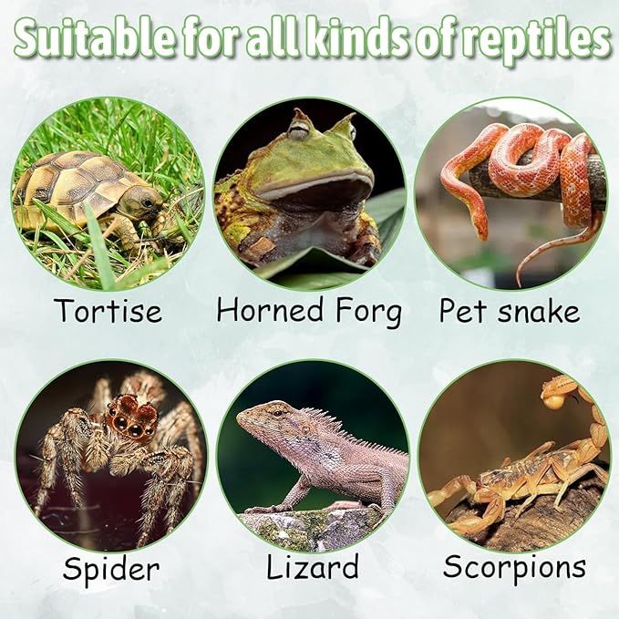 PINVNBY Reptile Water Dish, Bearded Dragon Water Bowl, Resin Reptile Platform with Artificial Plants Food Water Dish Bowl for Bearded Dragon, Crested Gecko, Hermit Crab, Snake (Smooth)