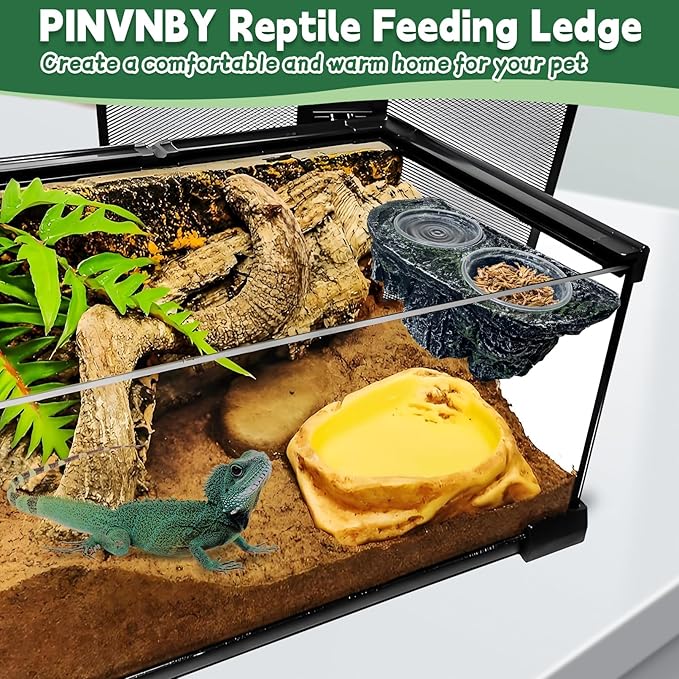 PINVNBY Reptile Feeding Ledge Double Reptile Water Bowl and Food Dish Crested Gecko Feeding Ledge with Suction Cup for Bearded Dragon Lizard Chameleon Snake and Other Reptiles