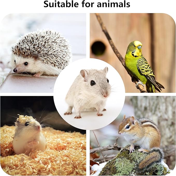 Hamster Wooden Platform with Legs Small Animal Climbing Ladder Standing Rat Guinea Perch Chew Toy Cage Accessories (Platform-Small)