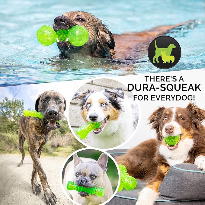 Hyper Pet DuraSqueak Dog Ball Toy, Interactive Dog Toys that Float and Squeaks for Playing, Fetching and Retrieving-Great Alternative to Traditional Tennis Balls Green 2.5 Inch