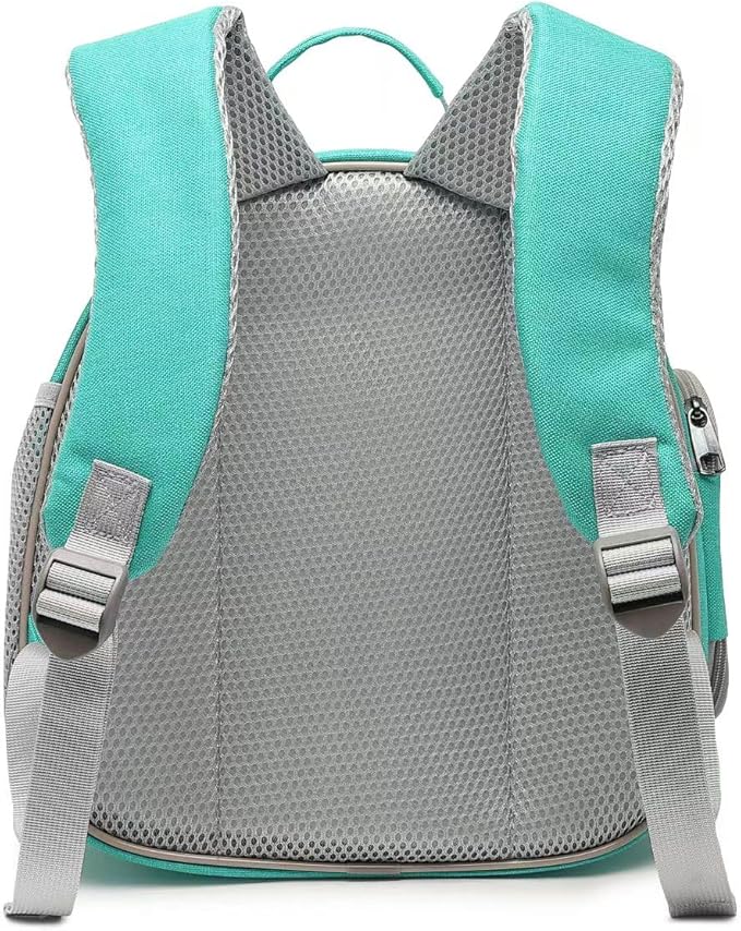 Small Animal Carrier Backpack Space Capsule Bubble Window Carrier Backpack for Lizard Guinea Pig(Green)