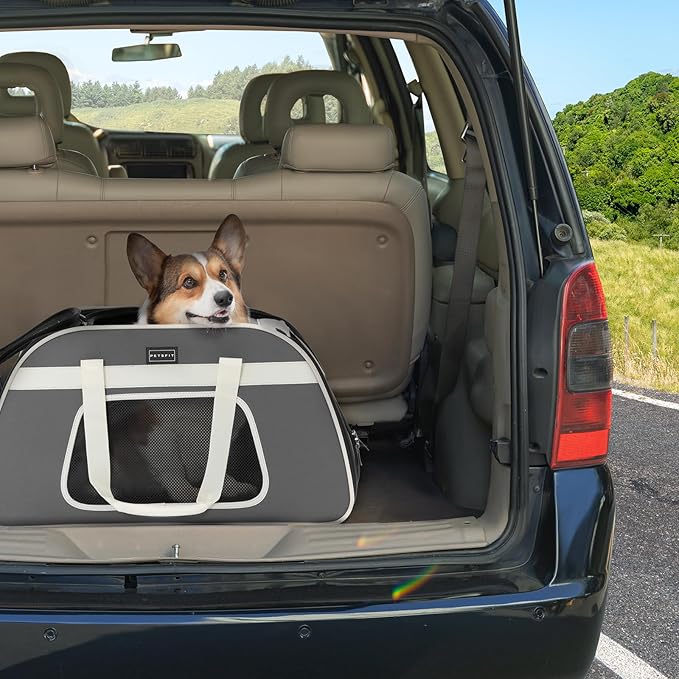 PETSFIT Large Pet Carrier with Wheels Designed for 2 Small Dogs/Multiple Kittens/Medium Dogs with Adjustable Safety Rope & Waterproof Bottom(šµšš ššššššš šššššššš
)