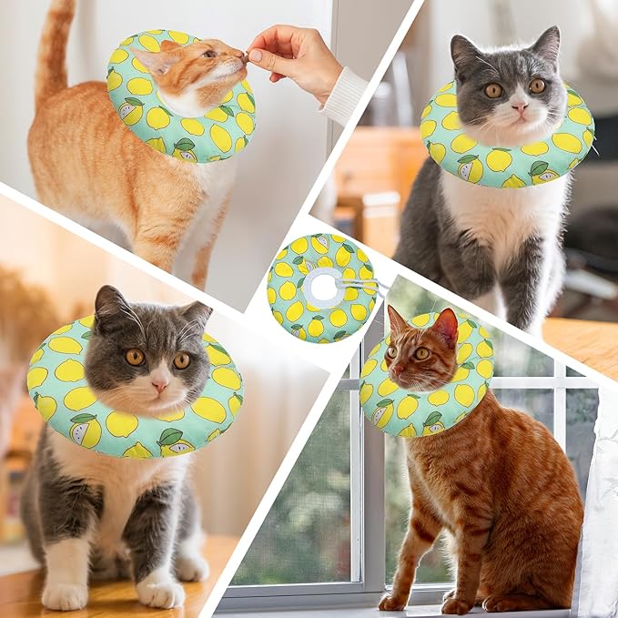Cat Cone Collar Soft, Adjustable Cat Recovery Collars to Prevent Licking, Cute Donut E Collar After Surgery, Wound Healing Elizabethan Collar for Kittens(Green Lemon, Large)