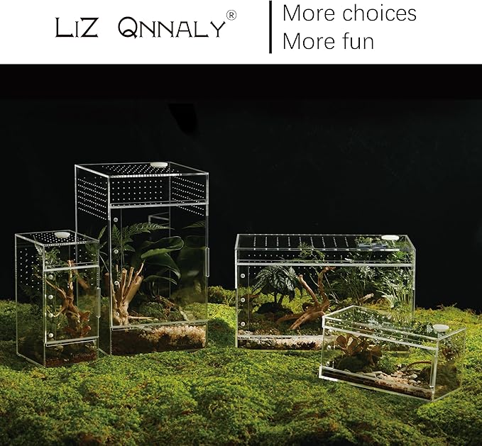Acrylic Terrarium for Reptiles & Spiders – Small/Medium/Large Leak-Proof Enclosure (Horizontal/Vertical) | Ideal for Tarantulas, Jumping Spiders, Frogs & Geckos(Large Horizontal)