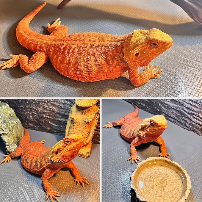 Bearded Dragon Mat 1Pack 18x36, Reptile Tank Accessories, Terrarium Liner Bedding, Non-Adhesive Reptile Substrate Mat for Bearded Dragon, Leopard Gecko, Lizard, Tortoise, Iguana Tank