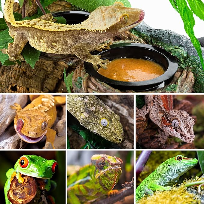 REPTI ZOO Magnetic Reptile Feeder Ledge, Gecko Feeder with 4 Cups, Hollow Vine Food Dish, Water Bowl for Lizard & Snake, Terrarium Accessories