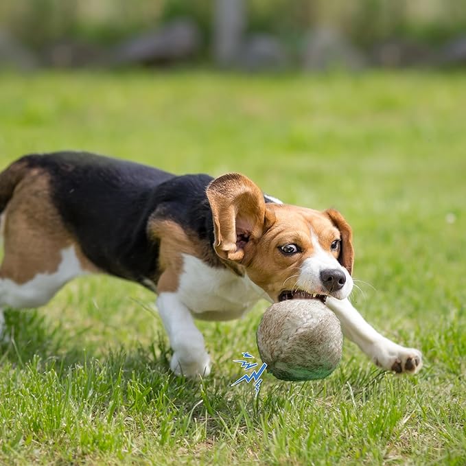 Nocciola Wobble Giggle Ball for Dogs, Interactive Dog Toys for Boredom, Squeaky Ball Dog Toys to Keep Them Busy, Pet Toys for Small Medium Large Dogs, Fun Giggle Sounds When Rolled or Shaken (M)