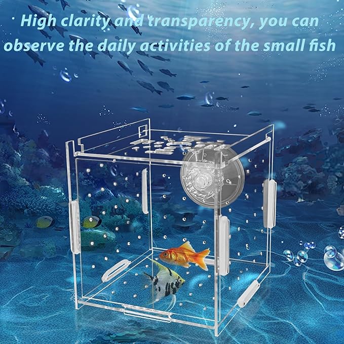 PINVNBY Acrylic Fish Breeding Box,Guppy breeding Box Acrylic Fish Isolation Box Aquarium Incubator with Suction Cups for Guppy Shrimp Small Baby Fishes(3.9 x 3.9 x 3.9 inches)
