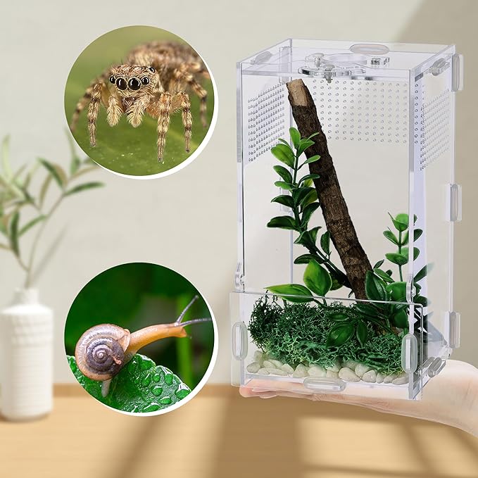 VERTUPET 4"x4"x8" Acrylic Jumping Spider Enclosure, Clear Arboreal Reptile Habitat Tank with Secure Locking Latch for Frogs, Crickets, and Snails