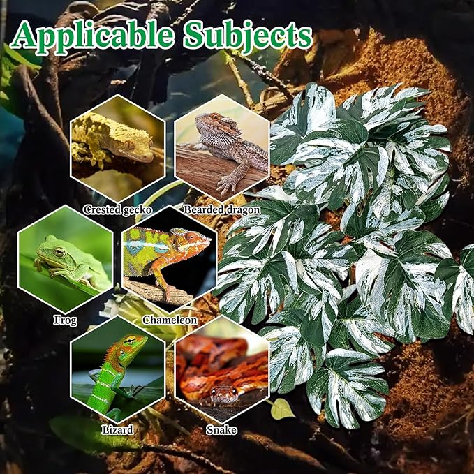 VCEPJH Reptile Plants with Suction Cup Amphibian Habitat Decor 2 Pcs Artificial Leaves for Terrarium Decor Crested Gecko Tank Accessories for Bearded Dragon, Lizard, Snake (White and Green Monstera)