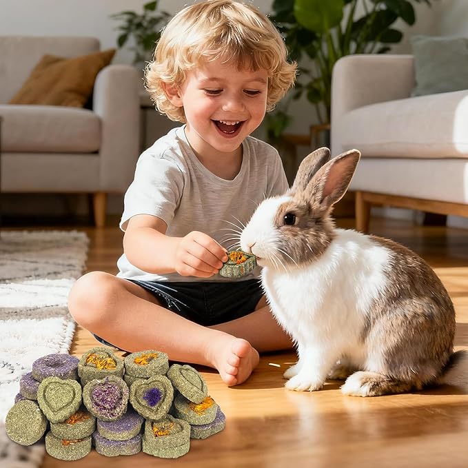 BESENL 36PCS Guinea Pig Hay Food Natural Rabbit Chew Toys for Teeth,Hamster Toys, Bunny Chew Toys Timothy Hay Treats for Rabbits Chinchillas Rats, Small Animals Teeth Grinding