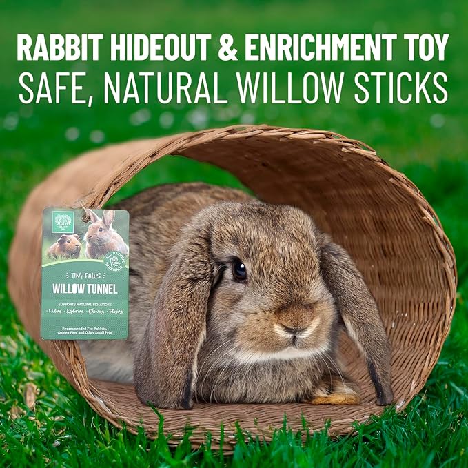 Small Pet Select - Jumbo - Tiny Paws Hand-Made Willow Tunnel for Rabbits, Guinea Pigs, Cats and Other Small Animals