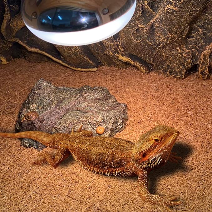 Reptile Carpet Mat, Coconut Fiber Liner,Snake Bedding,Lizard Cage Mat/Substrate for Snakes, Chameleons, Geckos ands Kitchen Use (30"x12"(2pc))