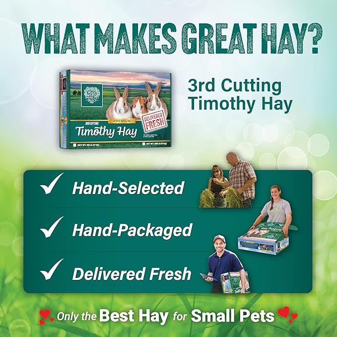 Small Pet Select 3rd Cutting Super Soft Timothy Hay Pet Food for Picky Eaters, Rabbits, Guinea Pigs, and Other Small Animals, Easy to Store Box, 5 LB