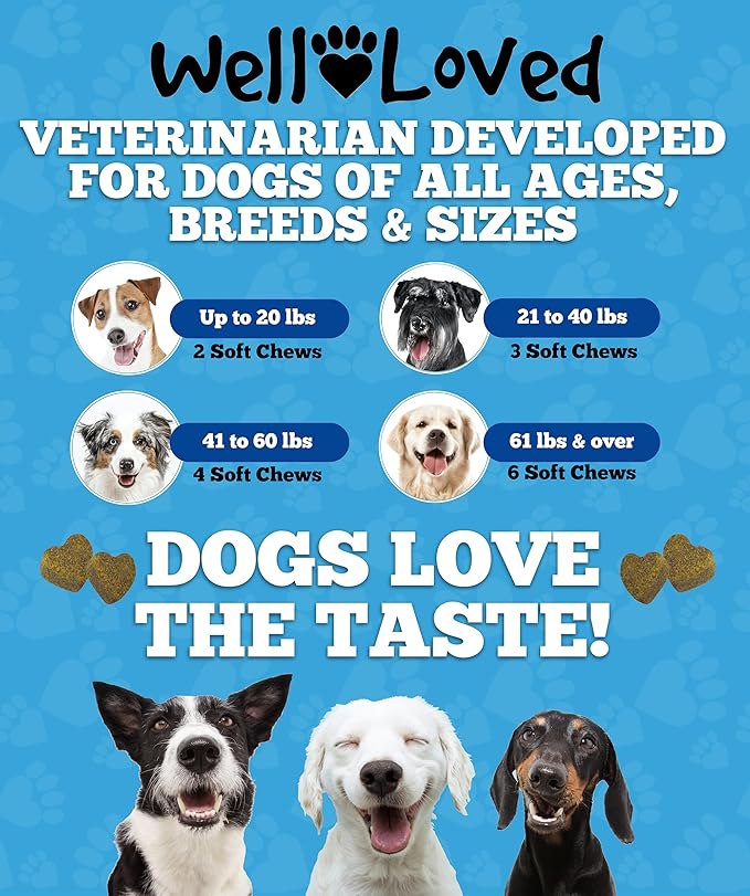 Dog Allergy Chews - Dog Allergy Relief, Itching Skin Relief, Hot Spot Treatment & Seasonal Allergies, Vet Developed, Anti Itch Skin Irritation Treatment, Made in USA, 120 Chews