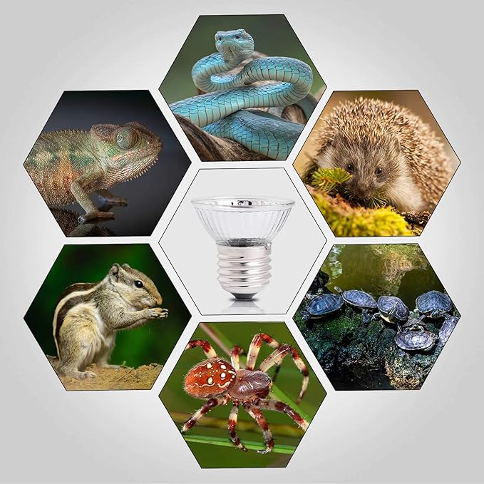 OMAYKEY 30W UVA + UVB Full Spectrum Sun Lamp Sunbathe Heat Lamp/Bulb/Light for Lizard Bearded Dragon Chameleon Snake Turtle Aquarium Reptiles & Amphibians, 6 Pack