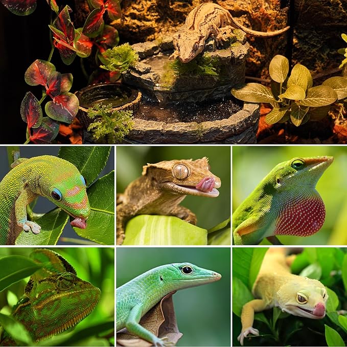 REPTI ZOO Reptile Water Fountain with Food Dish, 550ML Terrarium Waterfall Drinking Fountain for Bearded Dragon Gecko Chameleon Lizard Tree Frog Turtle, Reptile Water Dispenser, Keep Water Clear