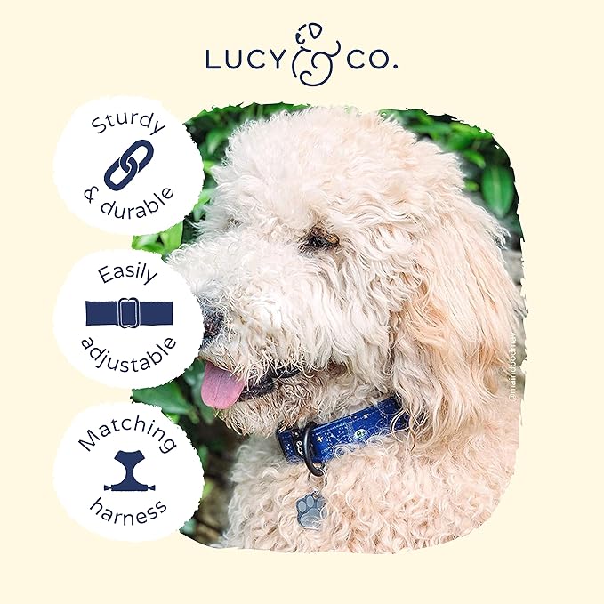 Lucy & Co. Space Doodle Dog Collar - Durable Lightweight Designer Collar for Pets - Adjustable Metal Safety Buckle - Navy Outerspace Icons - Medium