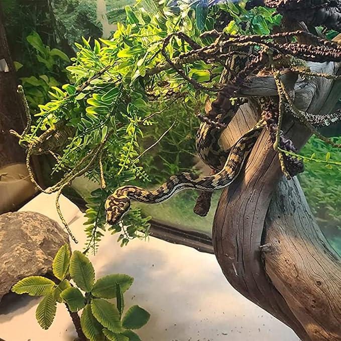 kathson Reptile Wooden Bridge,Bearded Dragon Hammock Decor Wood Reptile Hideout Hut Terrarium Hanging Plants Climbing Accessories Reptiles Hide Caves for Snake Gecko Lizard Tortoise (3 Pcs)