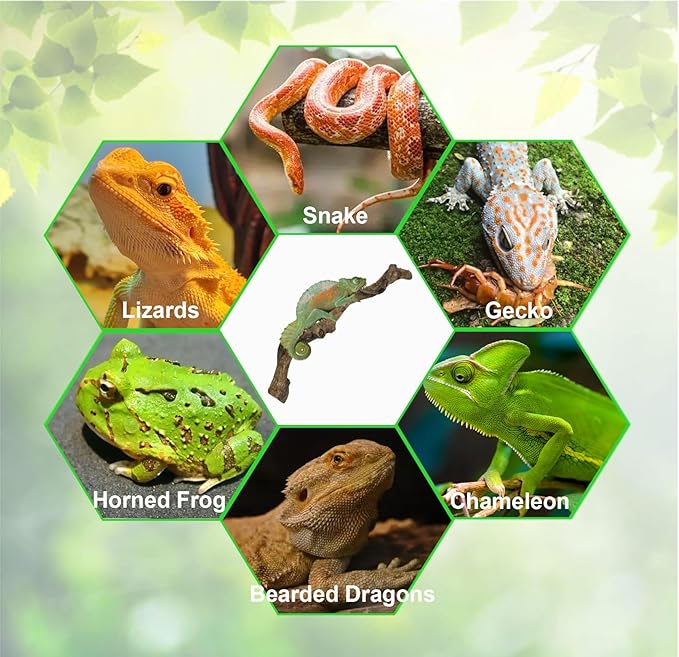 BNOSDM Reptile Climbing Branches Decor,Snake Climbing Branch,Gecko Climb Wood,Lizard Bold Forest Branch,Tank Habitat Tree Trunk Decorations for Bearded Dragons,Chameleons,Spider,Frogs,2.5-3.25" T