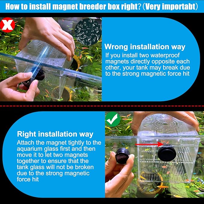 Magnetic Fish Breeder Box for Aquarium Tank Isolation Box Acclimation Hatchery breeding Incubator for Guppy Baby Betta Saltwater Clownfish Coral Anemones Aggressive or Injured Fish