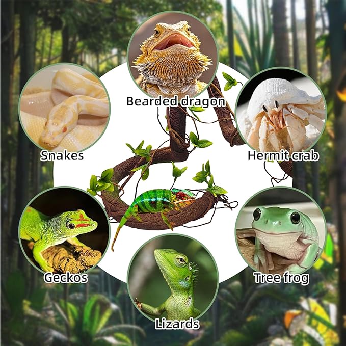 BNOSDM Reptile Jungle Vines with Leaves,Flexible Reptile Climbing Vines Branch,Chameleon Bendable Plants Tank Accessories,Pet Habitat Decor for Bearded Dragon,Snakes,Geckos,Lizards