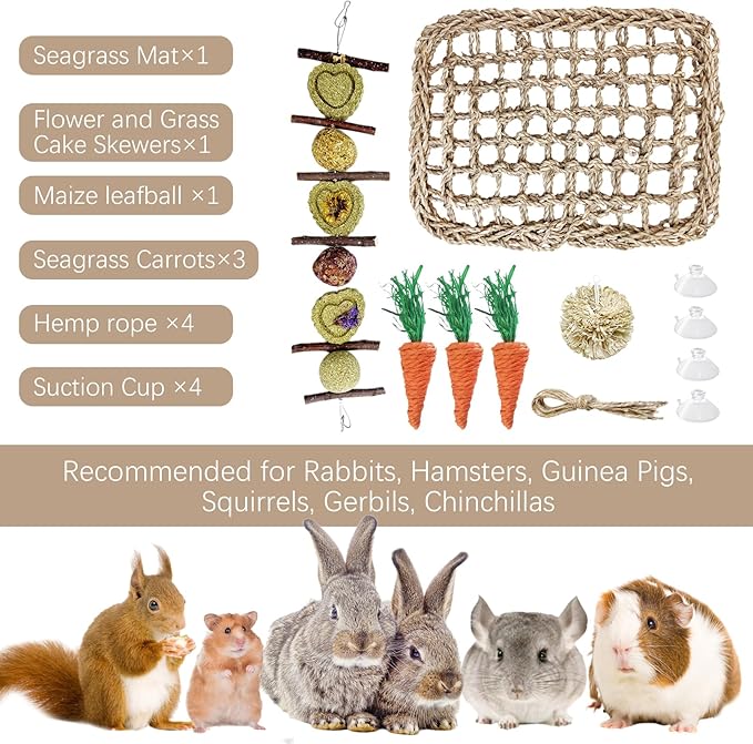Hamiledyi Rabbit Seagrass Activity Mat Bunny Toy Hanging Rabbit Chew Toys for Teeth Bunny Enrichment Toys Seagrass Protector Mat Small Animal Toys for Chinchilla Guinea Pigs Hamsters Rats Rodent